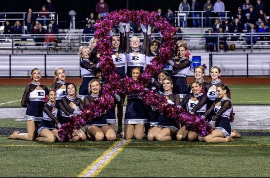 South Lyon East Pom shows their support of Breast Cancer Awareness Month.