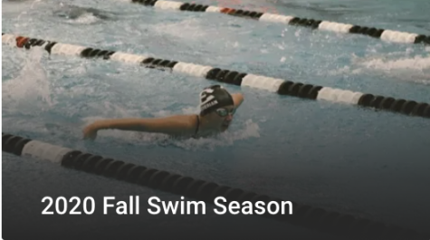 Swim and Dive Head to LVC Championships