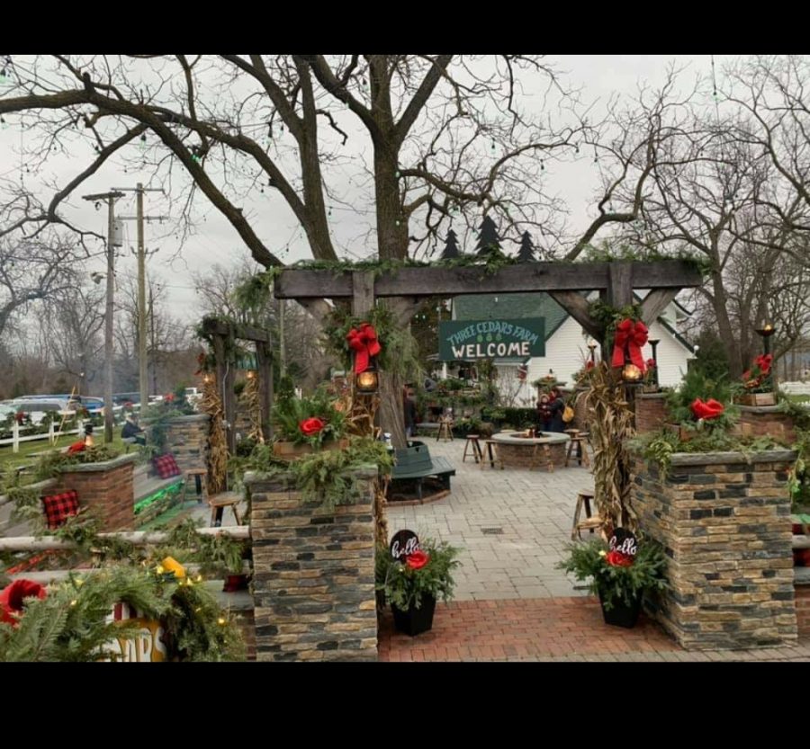 Three Cedars Farm Open for Holiday Visits