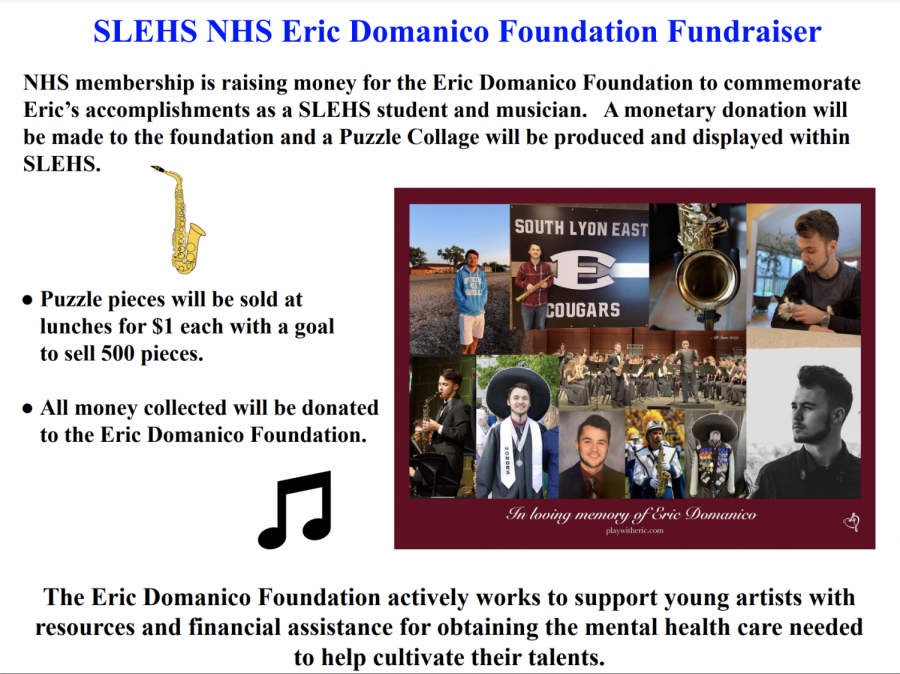 NHS Fundraiser Continues for the Eric Domanico Foundation